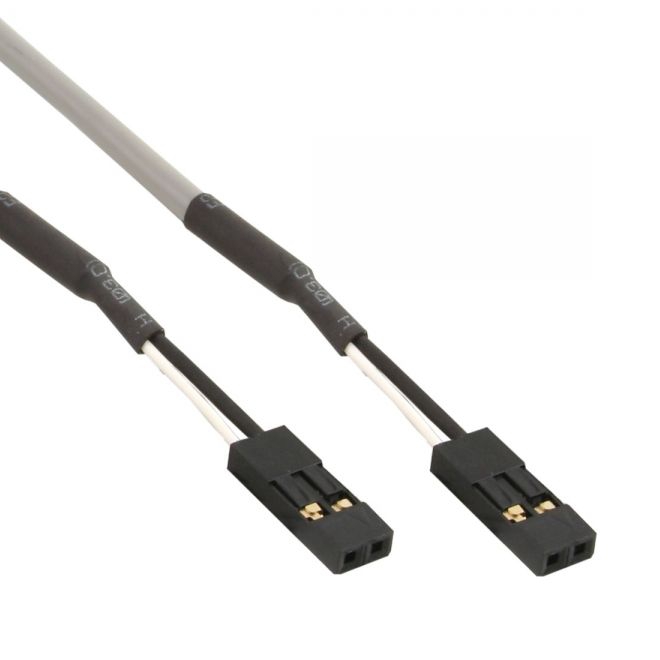 Cable interne 2 connecteurs avec 2 broches distance 2.54mm 65cm