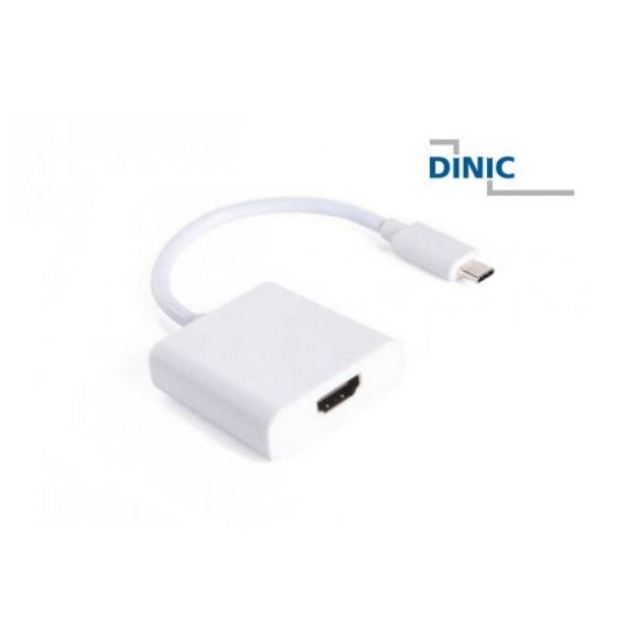 Adapter USB 3.1 C Stecker auf DisplayPort Buchse