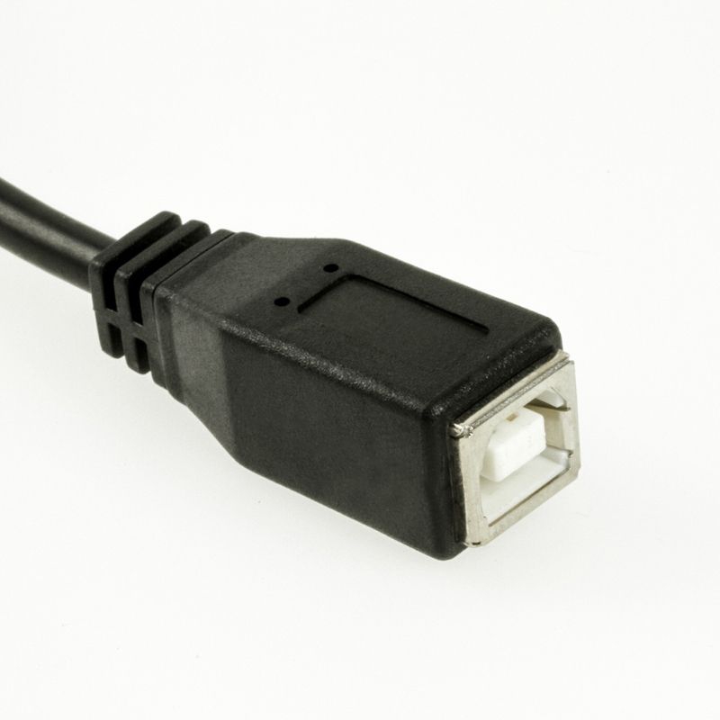 Câble adaptateur USB 2.0 : USB-B femelle vers Mini-B mâle, 35cm